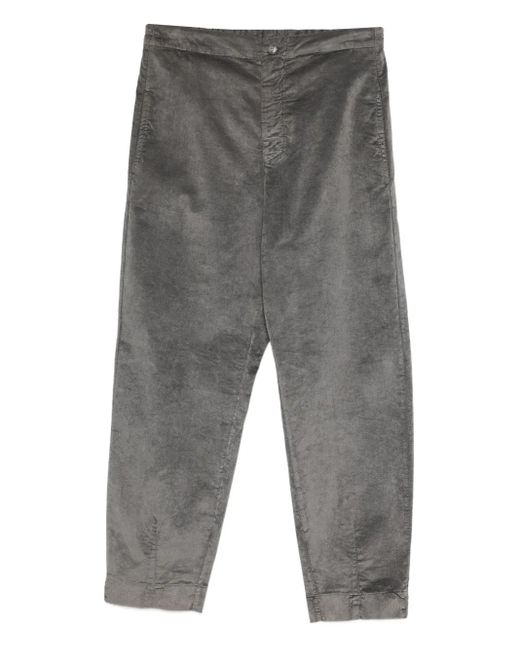 Transit Gray Corduroy Hose