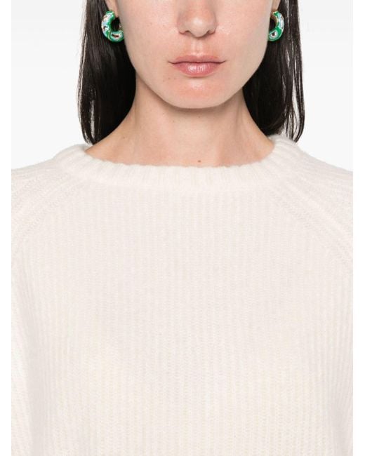 Allude Natural Ribbed-Knit Sweater