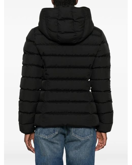 Moncler Black Herbes Padded Jacket