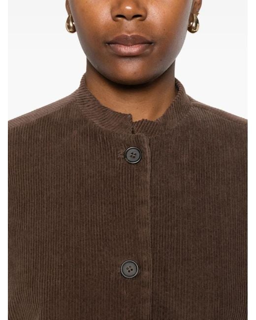 Whyci Brown Corduroy Buttoned Jacket