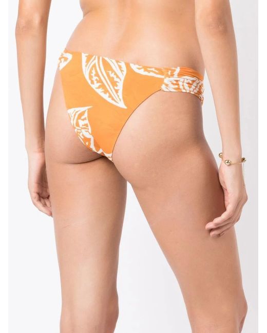Clube Bossa Orange Leaf-Print Bikini-Bottoms