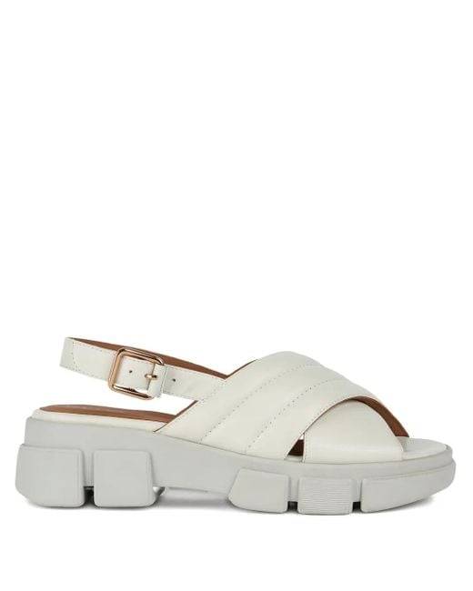 Geox Gray Lisbona Sandals