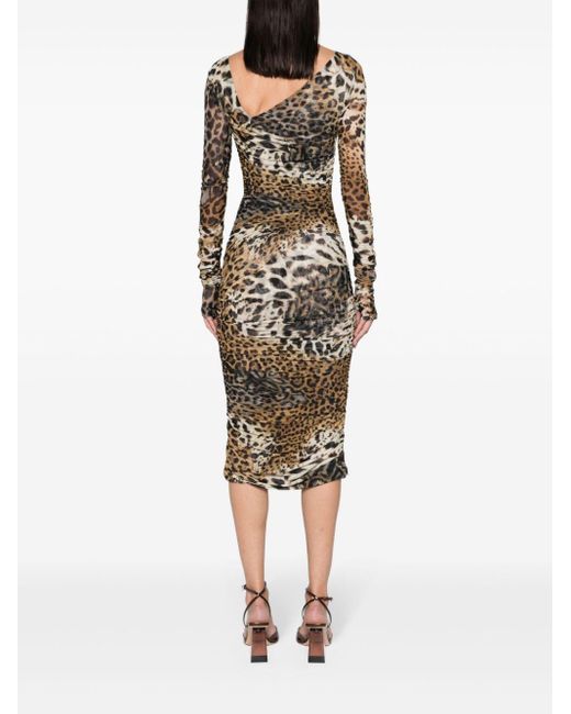 Roberto Cavalli Natural Leopard-print Mesh Midi Dress