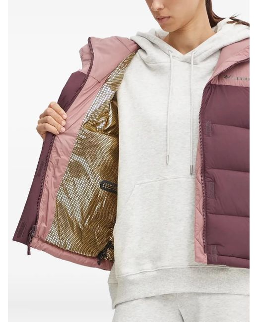 Columbia Bulo Point Iii Donsjack Met Capuchon in het Purple