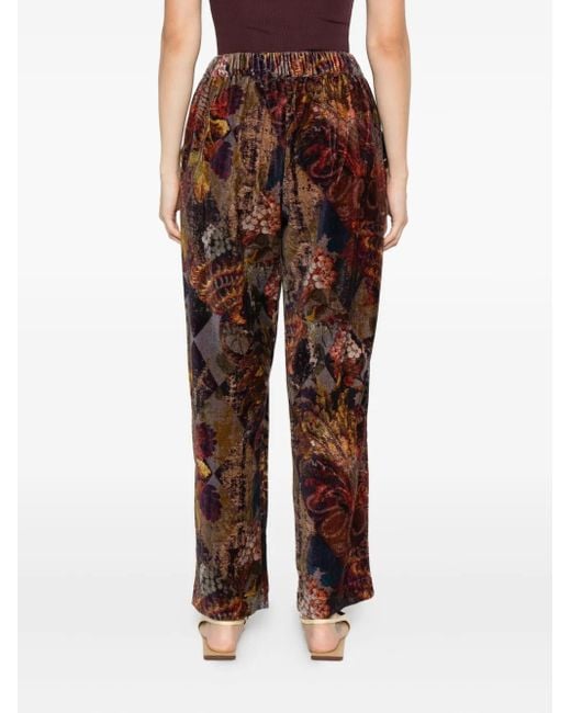Yavi Broek Met Bloemenprint in het Brown