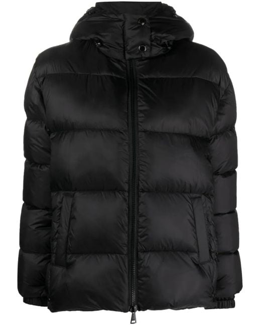 ERMANNO FIRENZE Donsjack Met Capuchon in het Black
