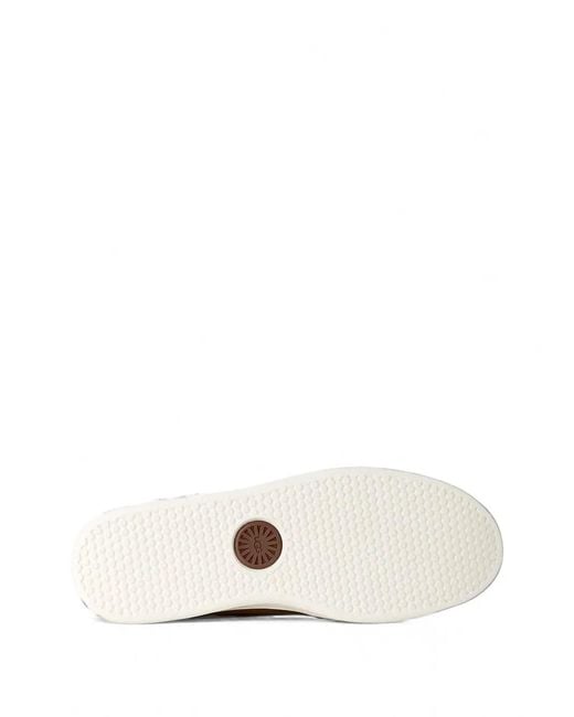 Ugg Brown Grained Leather Sneakers for men