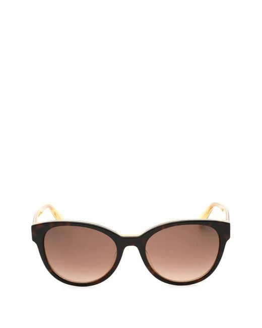 Kate Spade Brown Nathalie Round-Frame Sunglasses
