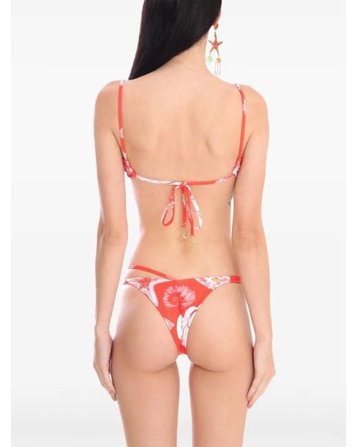 Amir Slama Red X Jade Picon Starfish-Print Bikini