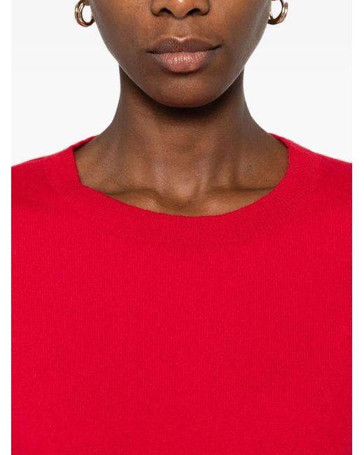 Lisa Yang ラウンドネック プルオーバー Red