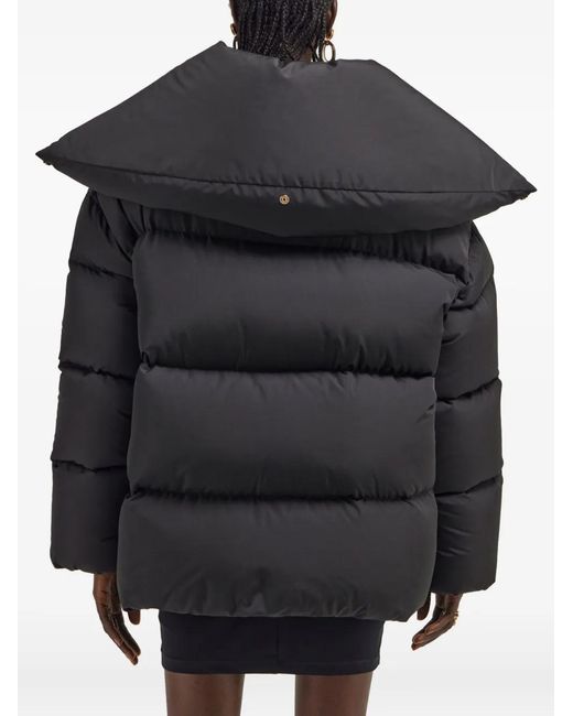 Roberto Cavalli Blue High-Collar Puffer Jacket