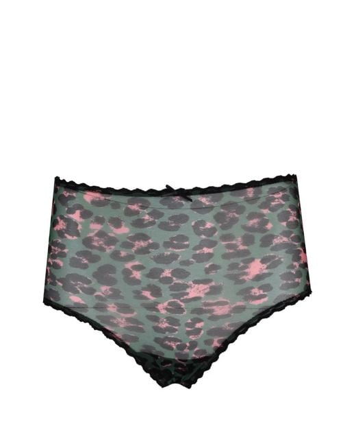 Laura Urbinati Gray Leopard-Print Lace-Trim Briefs