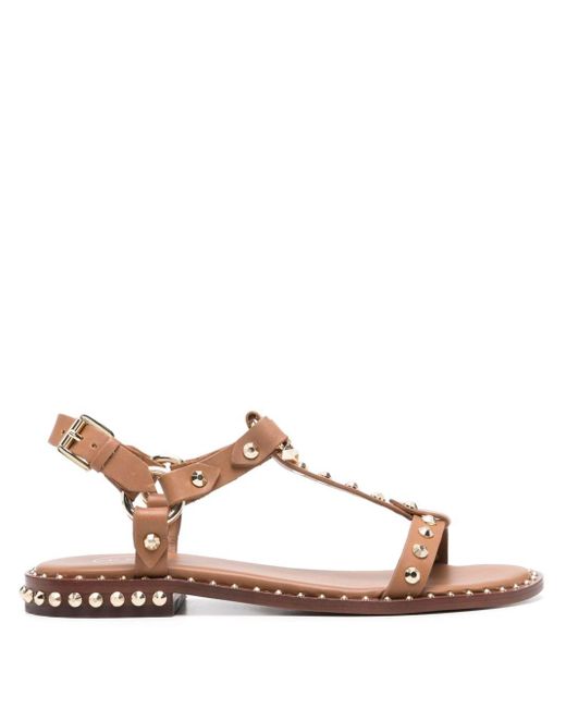Ash Brown Patsy Stud-embellished Sandals