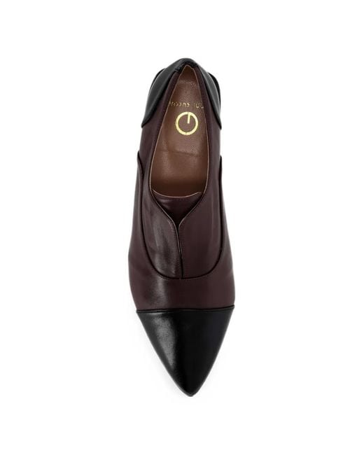 Status Brown Cap-Toe Leather Oxford Shoes
