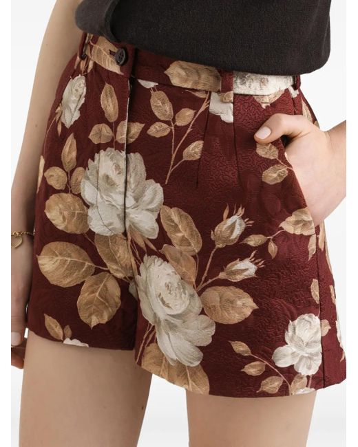 Dolce & Gabbana Red Rose-Print Brocade Shorts