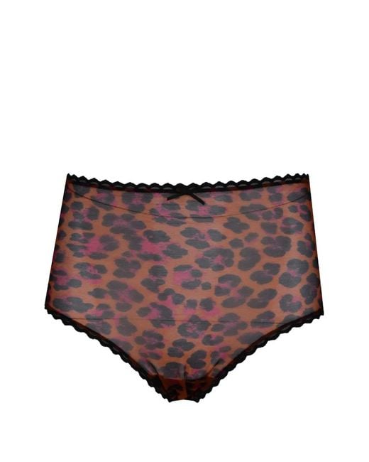 Laura Urbinati Brown Leopard-Print Lace-Trim Briefs