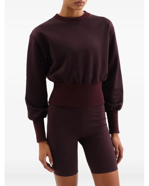 Eres Brown Isadora Cropped Sweatshirt