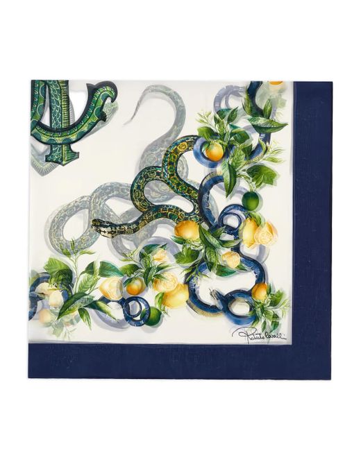 Roberto Cavalli スネークロゴ スカーフ Blue