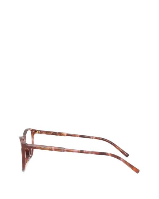 Dolce & Gabbana Brown Rectangular Frame Glasses