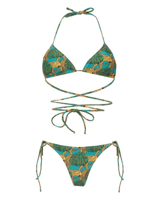 Reina Olga Green Miami Jungle Fever-print Bikini Set