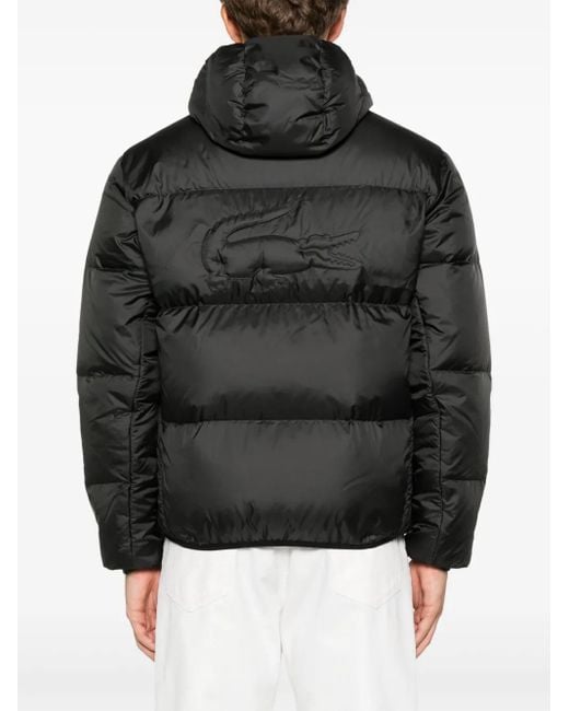 Piumino Con Cappuccio di Lacoste in Black da Uomo