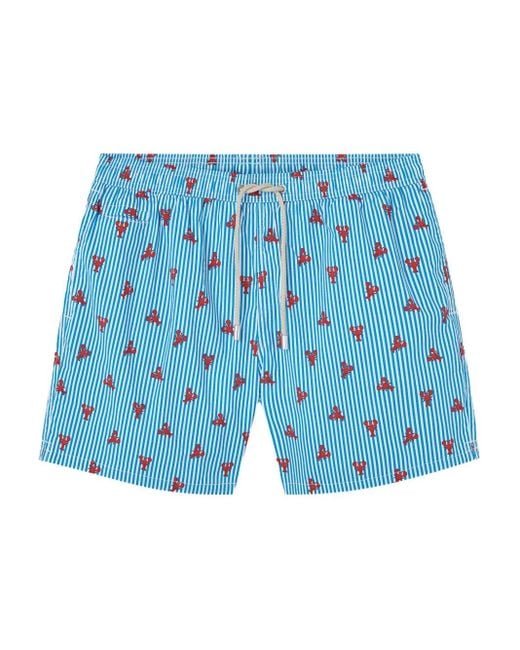 Mc2 Saint Barth Gestreepte Zwembroek Met Kreeftprint in het Blue voor heren