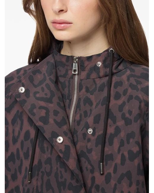 Apparis Black Sky Hooded Jacket