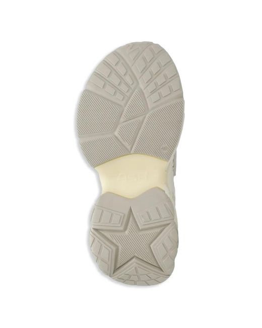 Ash White Drake Sneakers