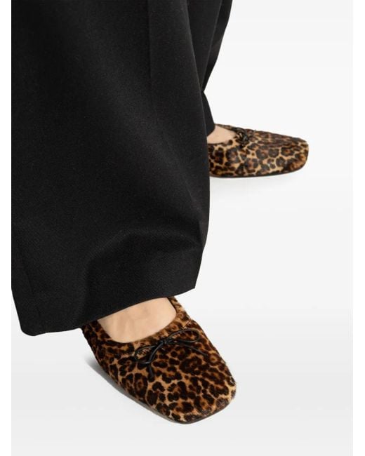 Golden Goose Deluxe Brand Ballerina's Met Luipaardprint in het Brown