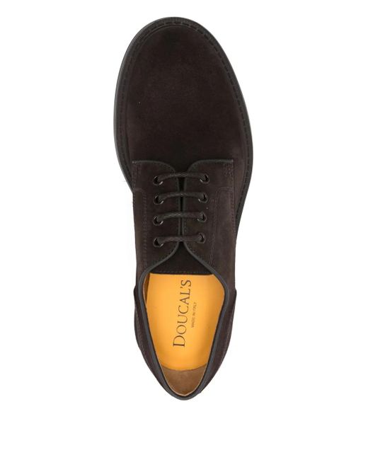 Doucal's Brown Derbies En Daim for men