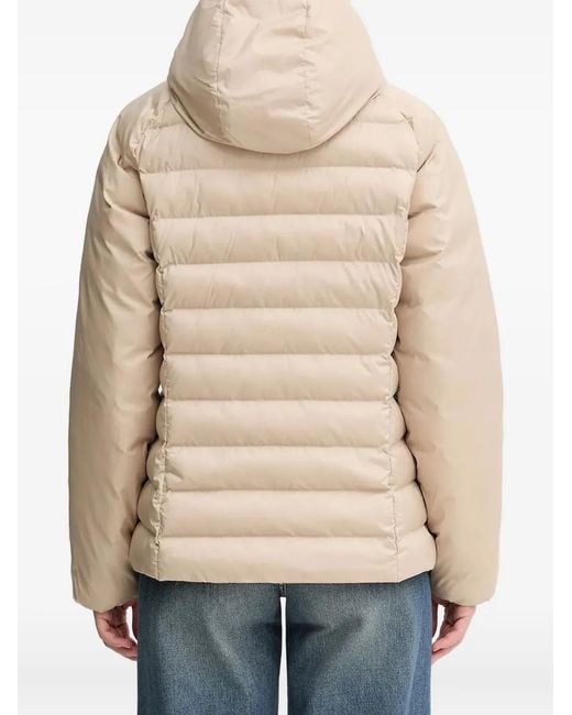 Chaqueta Adicolor Con Capucha Adidas de color Natural