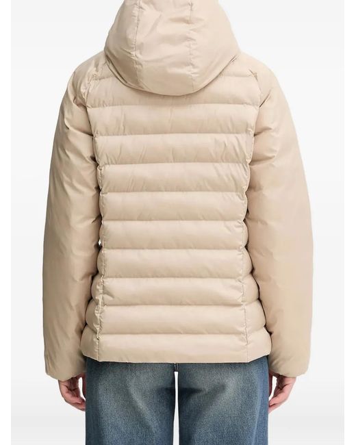 Adidas Natural Adicolor Hooded Jacket