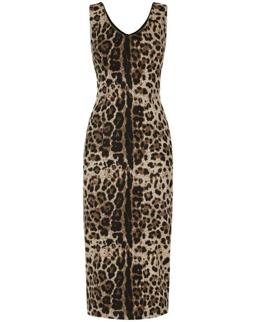 Dolce & Gabbana Natural Leopard-Print Sleeveless Dress