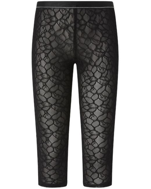 Leggings di Pinko in Gray