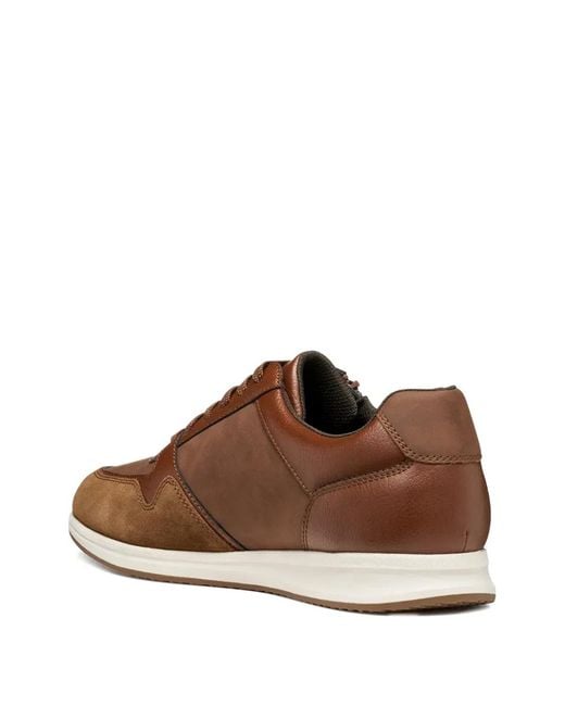 Geox Brown Avery Sneakers for men