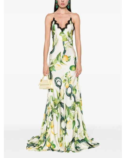 green emerald velvet dress ROBERTO CAVALLI PRE FALL 2008 GREEN GOWN  Found And Vision