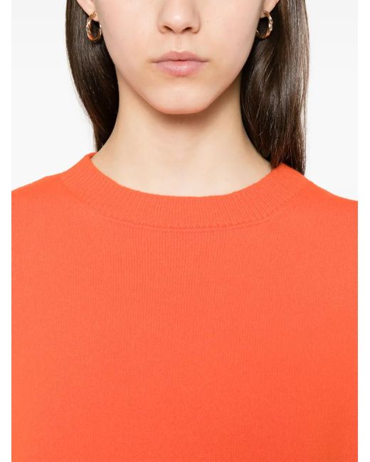 Sofie D'Hoore Orange Maan Pullover