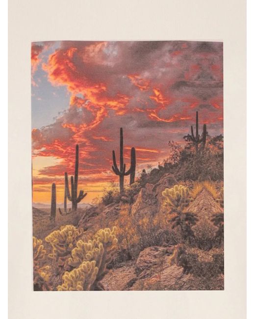 Laneus White Graphic-Print T-Shirt for men