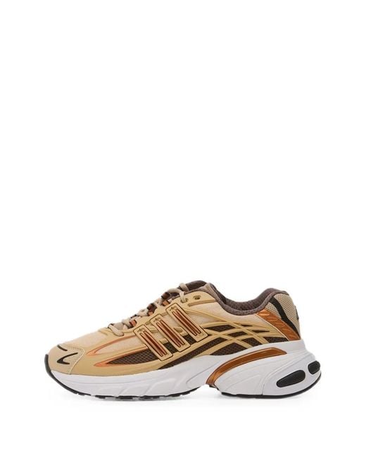 Adidas Natural Adistar Xlg 2.0 Shoes