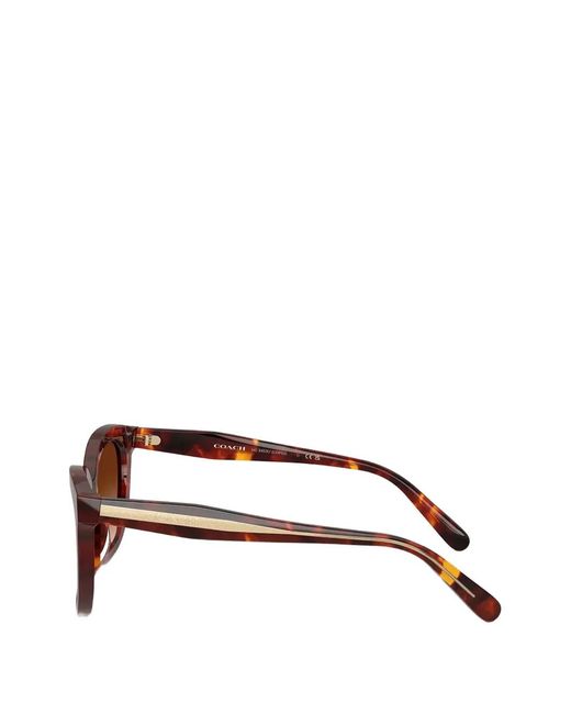 COACH Brown Tortoiseshell-Effect Cat-Eye Sunglasses