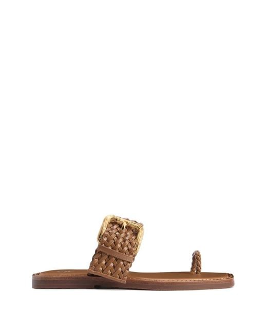Giuseppe Zanotti Brown Crista Flat Sandals
