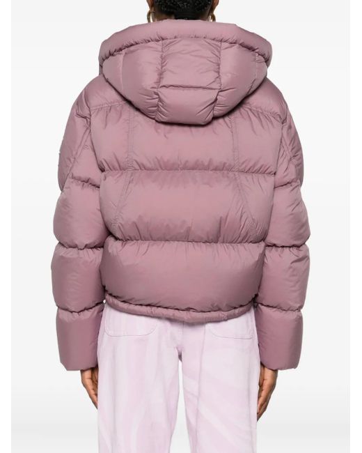 Moose Knuckles Pink Hooded Zip-Up Padded Jacket