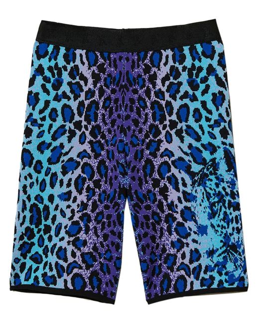 Twinset Blue Leopard-Print Shorts