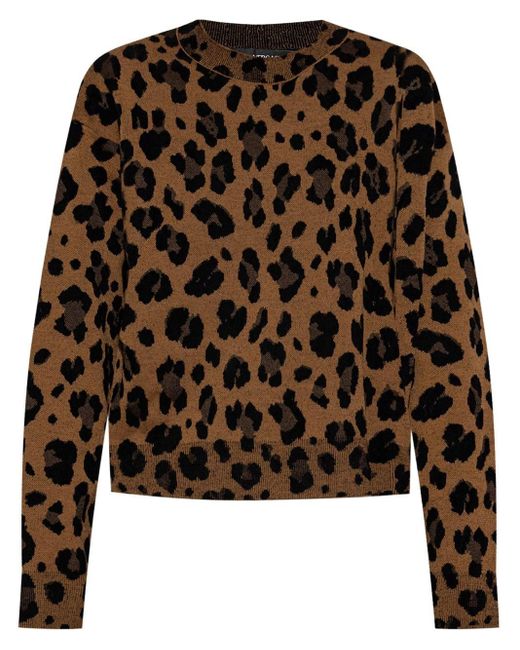 Versace Leopard Print Sweater in Black Lyst UK
