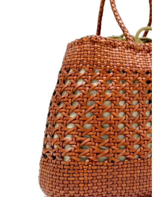 Dragon Brown Santa Cano Tote Bag