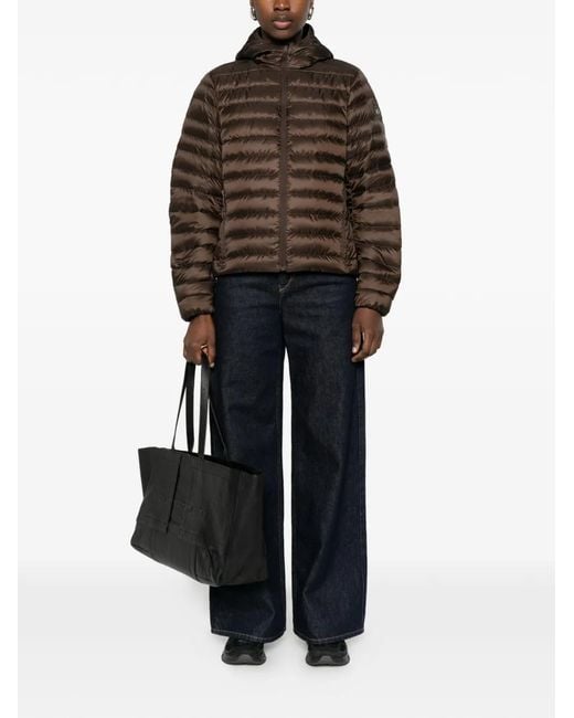 Canada Goose Brown Jackets