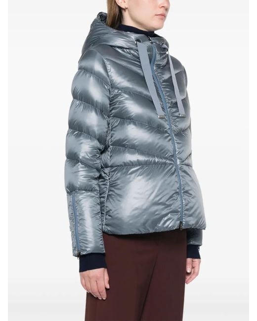 Herno Blue Hooded Puffer Coat