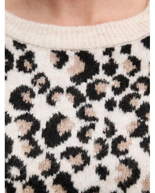 Morgan Black Crew-Neck Sweater