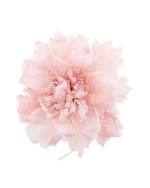 Spilla con fiore oversize di Ann Demeulemeester in Pink