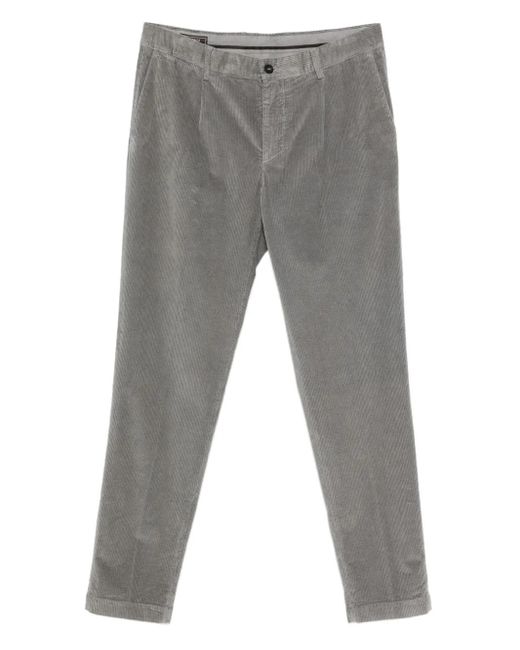 Peserico Cordhose mit Falten in Gray für Herren